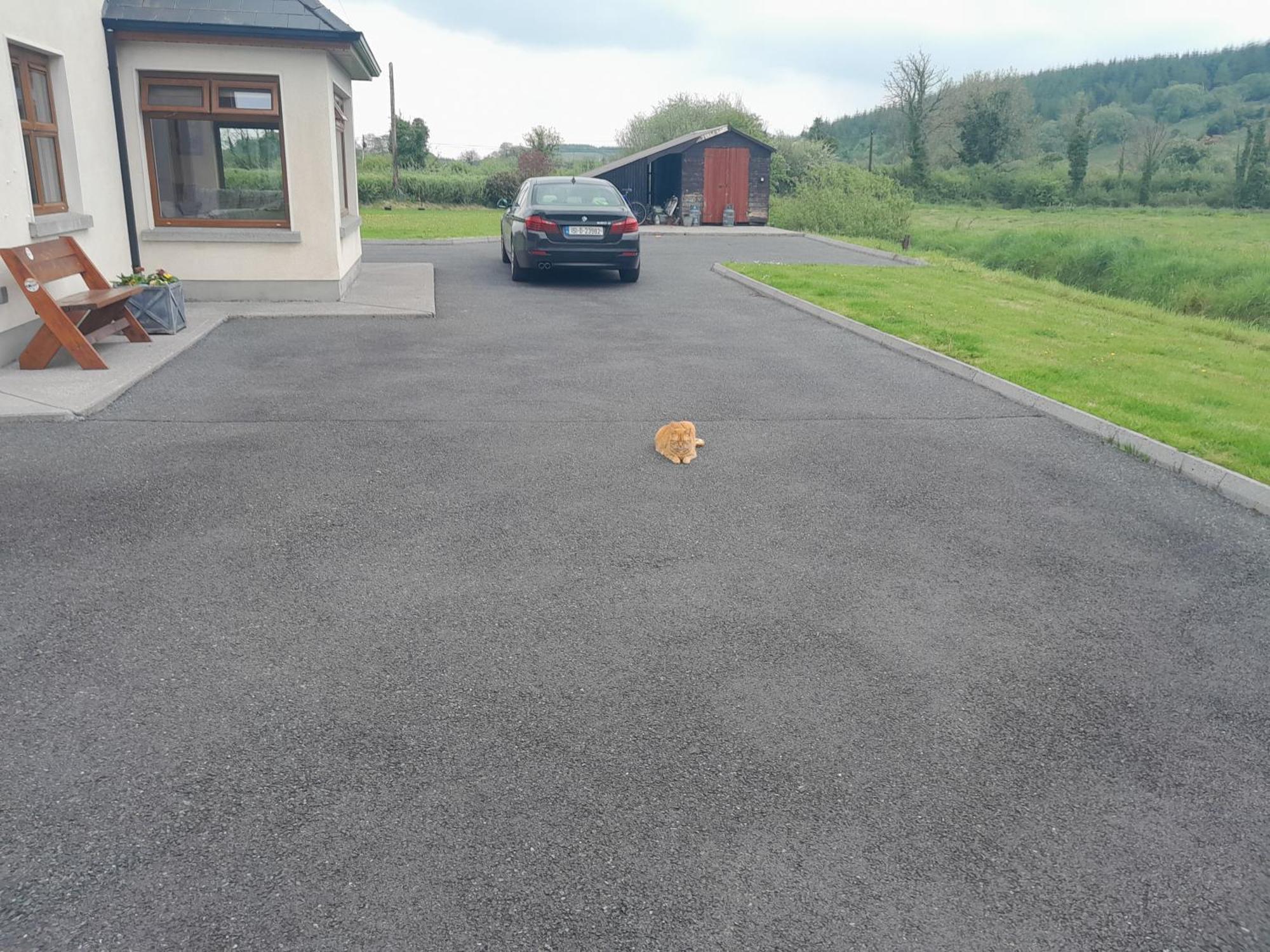 Nature'S Rest Carrick-on-Shannon Luaran gambar